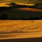 An einem Abend in der Eifel