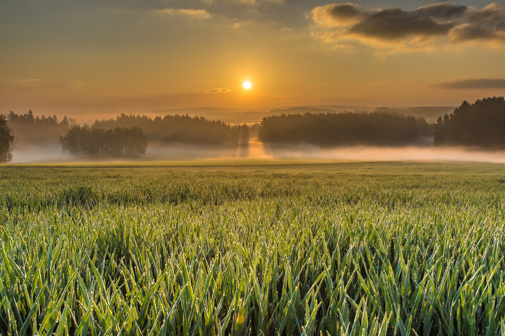 An einem Abrilmorgen