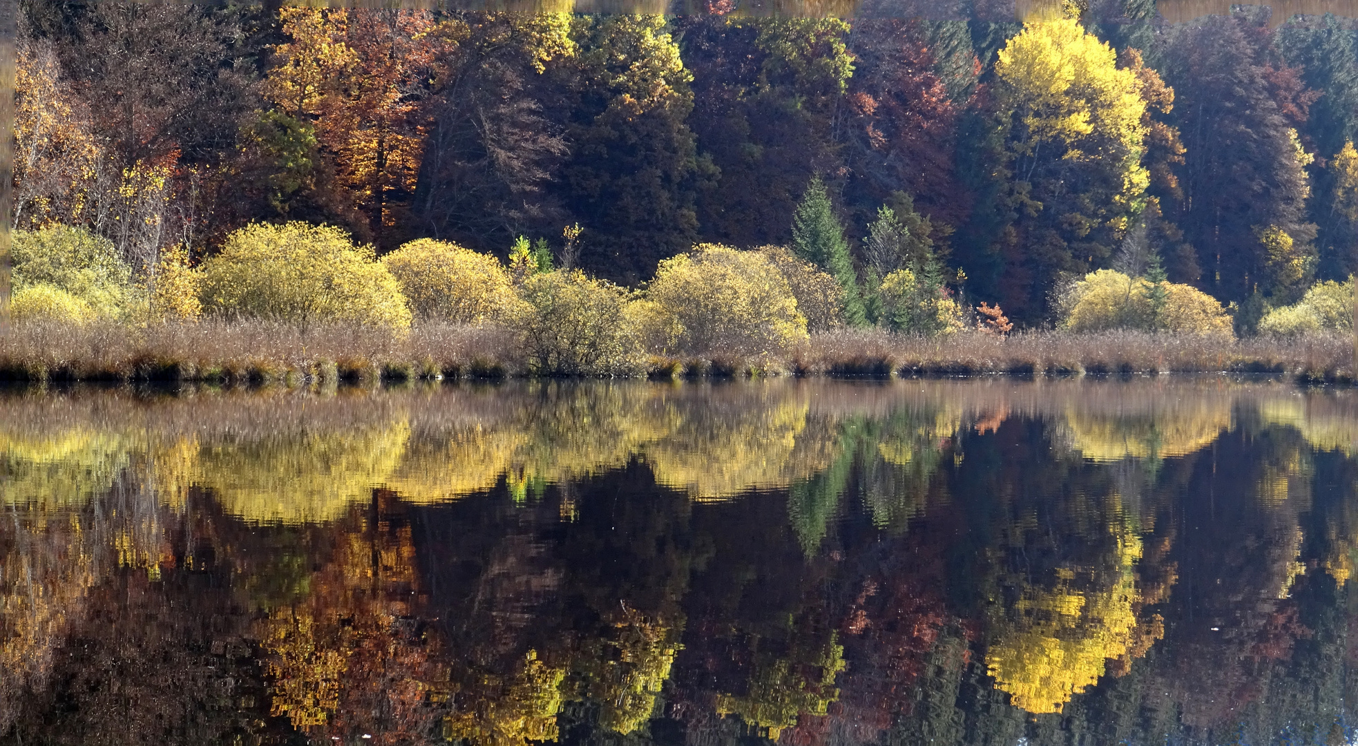 An einem bayrischen Moorsee