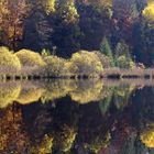 An einem bayrischen Moorsee