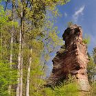 An einem der beliebtesten Kletterfelsen in den Vogesen, dem Langenfels, kommt man bei der...