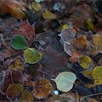 An einem frostigen Morgen (4)