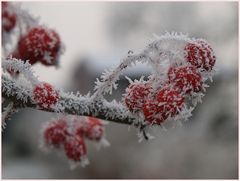 An einem frostigen Morgen