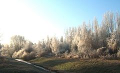 an  einem frostigen Morgen -