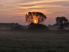 An einem frühen Morgen