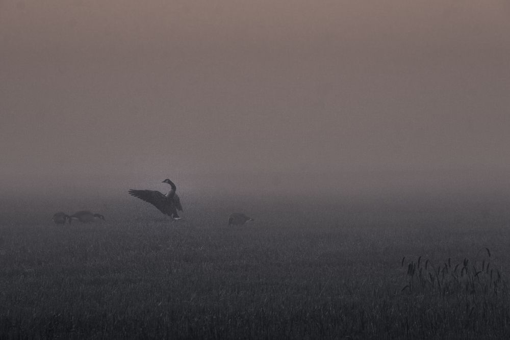 "An einem frühen Morgen…"