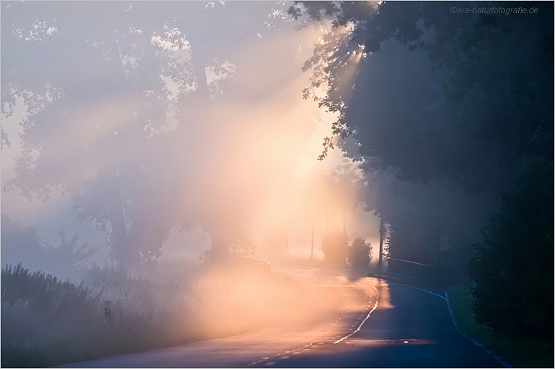 An einem frühen Sommermorgen