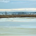 An einem frühen Wintermorgen am See ,