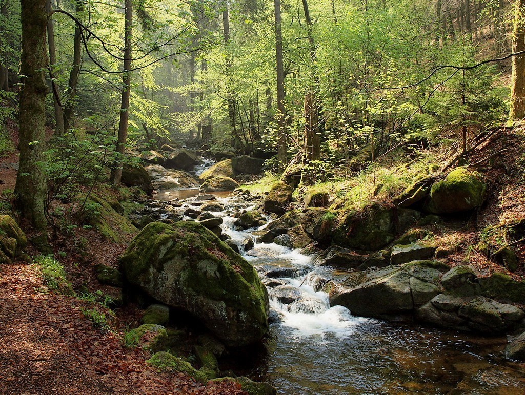 An einem Frühlingsmorgen im Gebirge