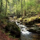 An einem Frühlingsmorgen im Gebirge