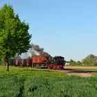 An einem Frühlingsmorgen in Naundorf