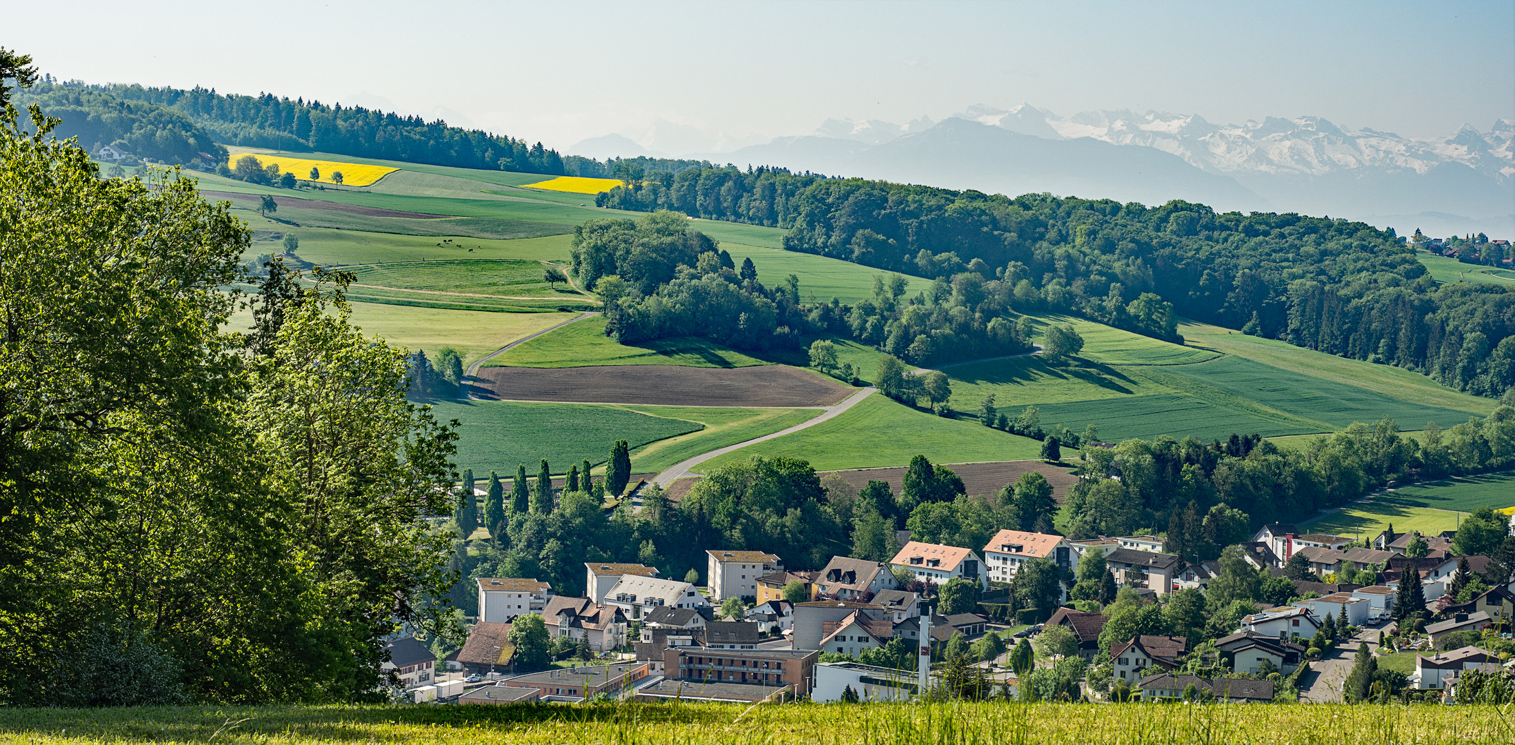  an einem Frühlingsmorgen von dem Heitersberg im Kanton Aargau in der Schweiz