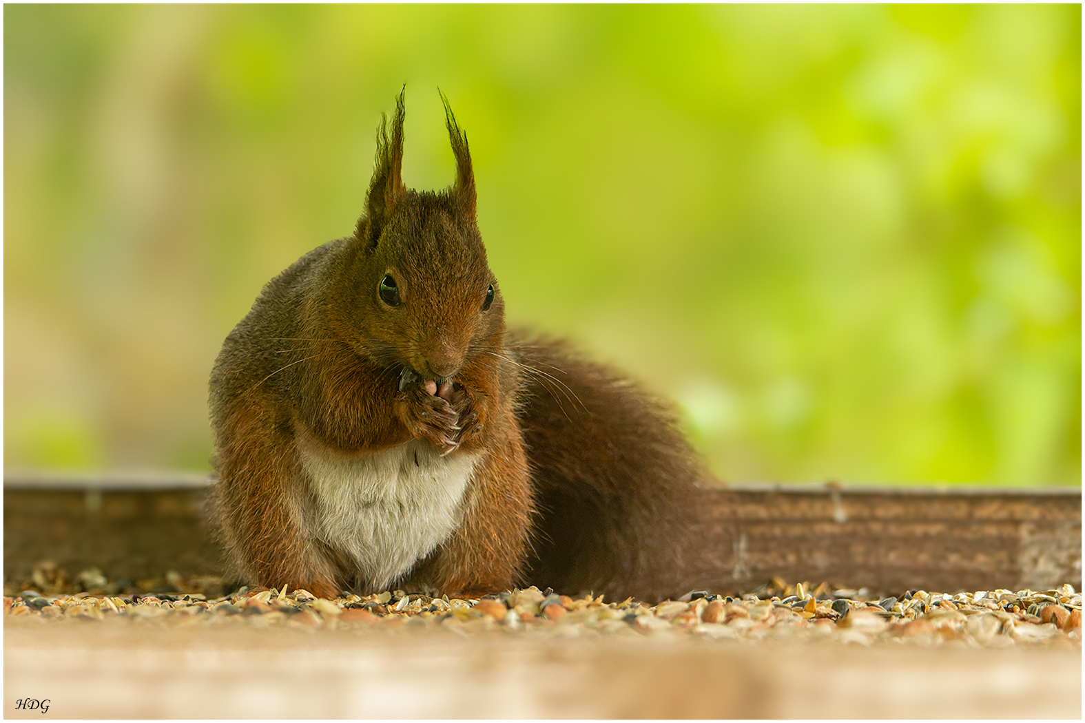 An einem Futterplatz (2) ...