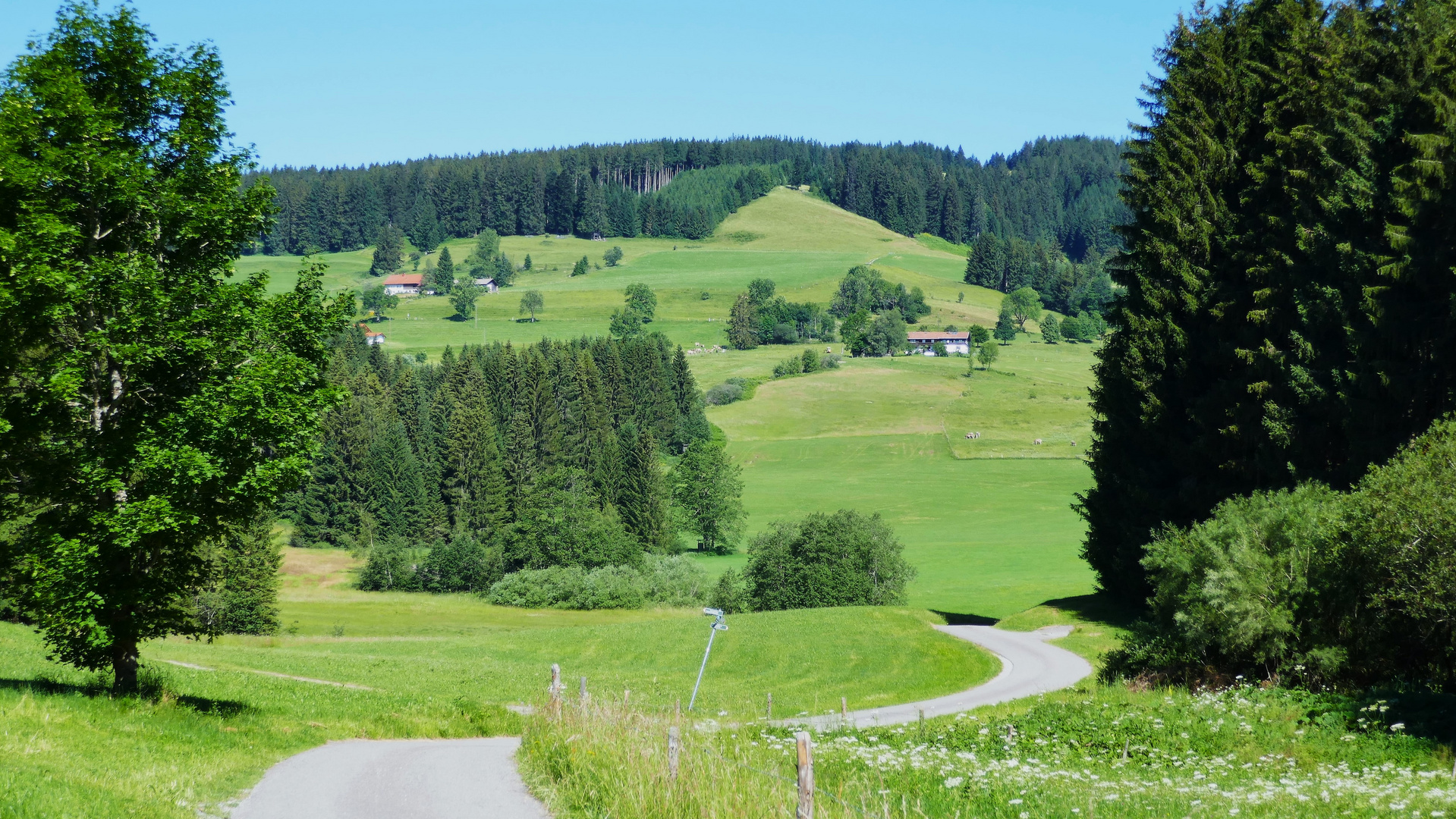 An einem heißen Sommertag ...