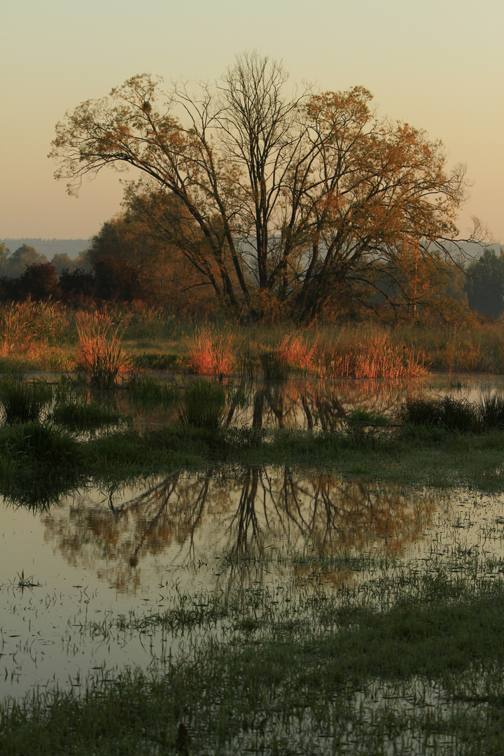 An einem Herbstmorgen