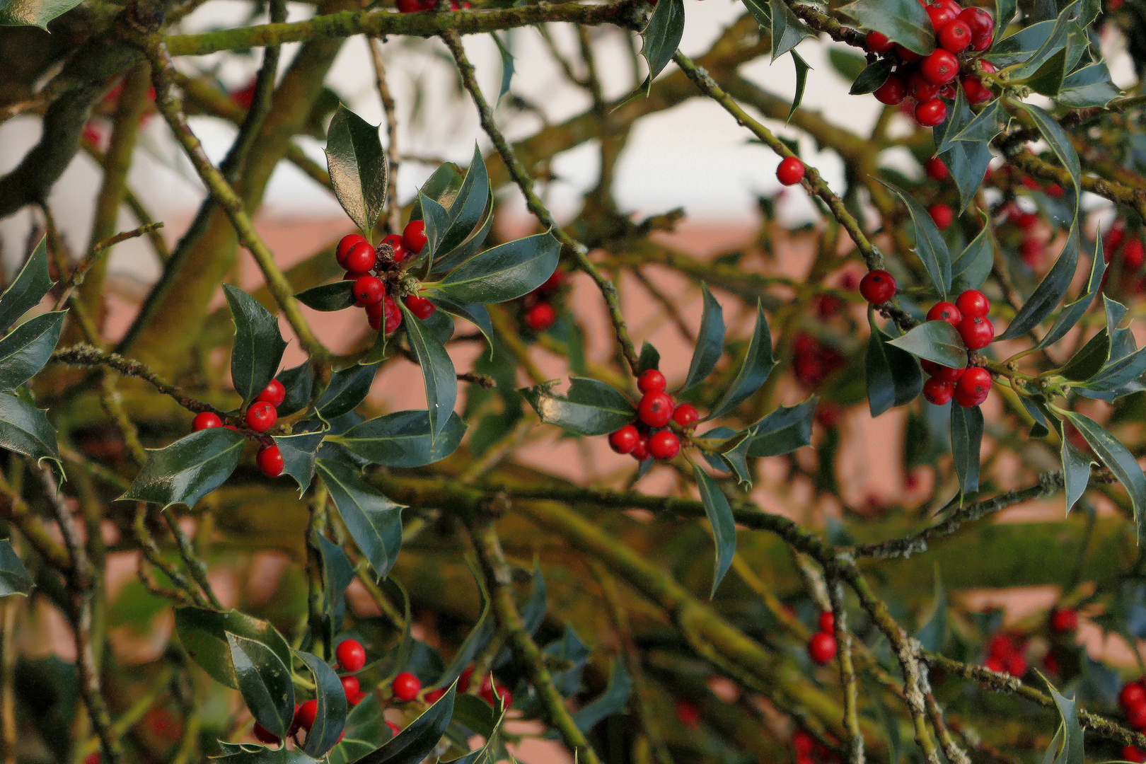 An einem Herbsttag 