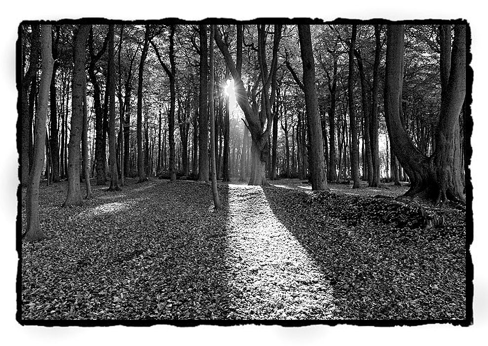 ... an einem Herbsttag an der Ostsee by Stephan Leyk