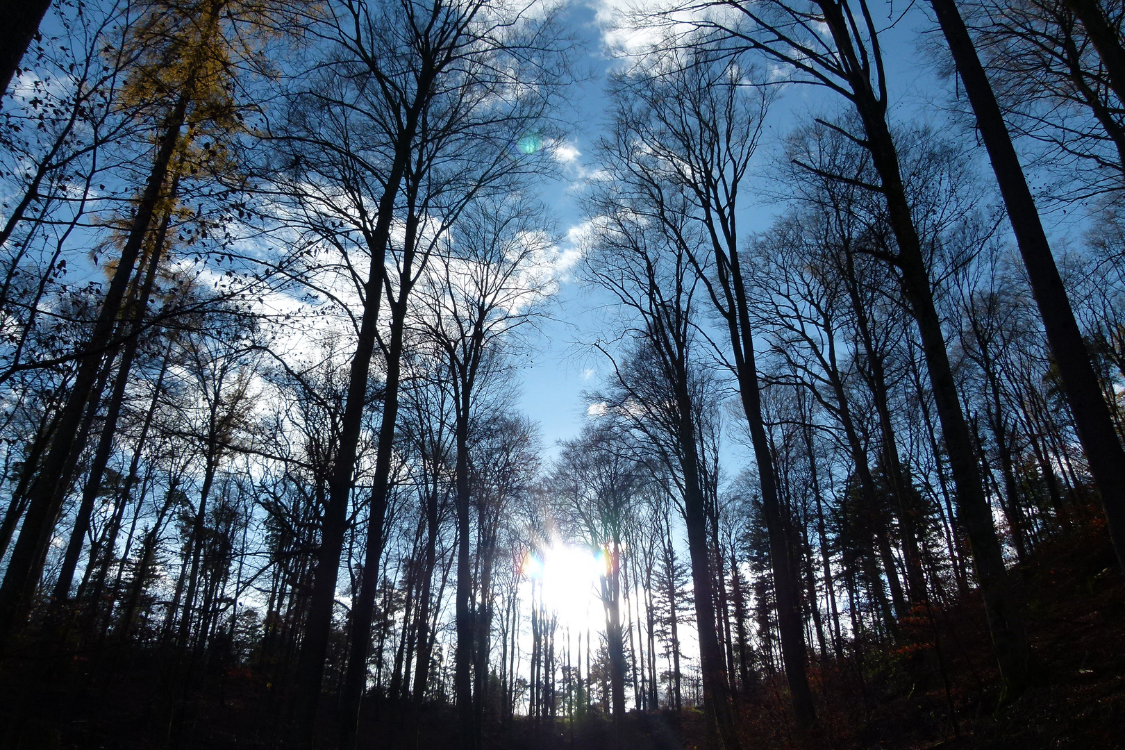 an einem Herbsttag