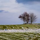 An einem Januartag in der Eifel