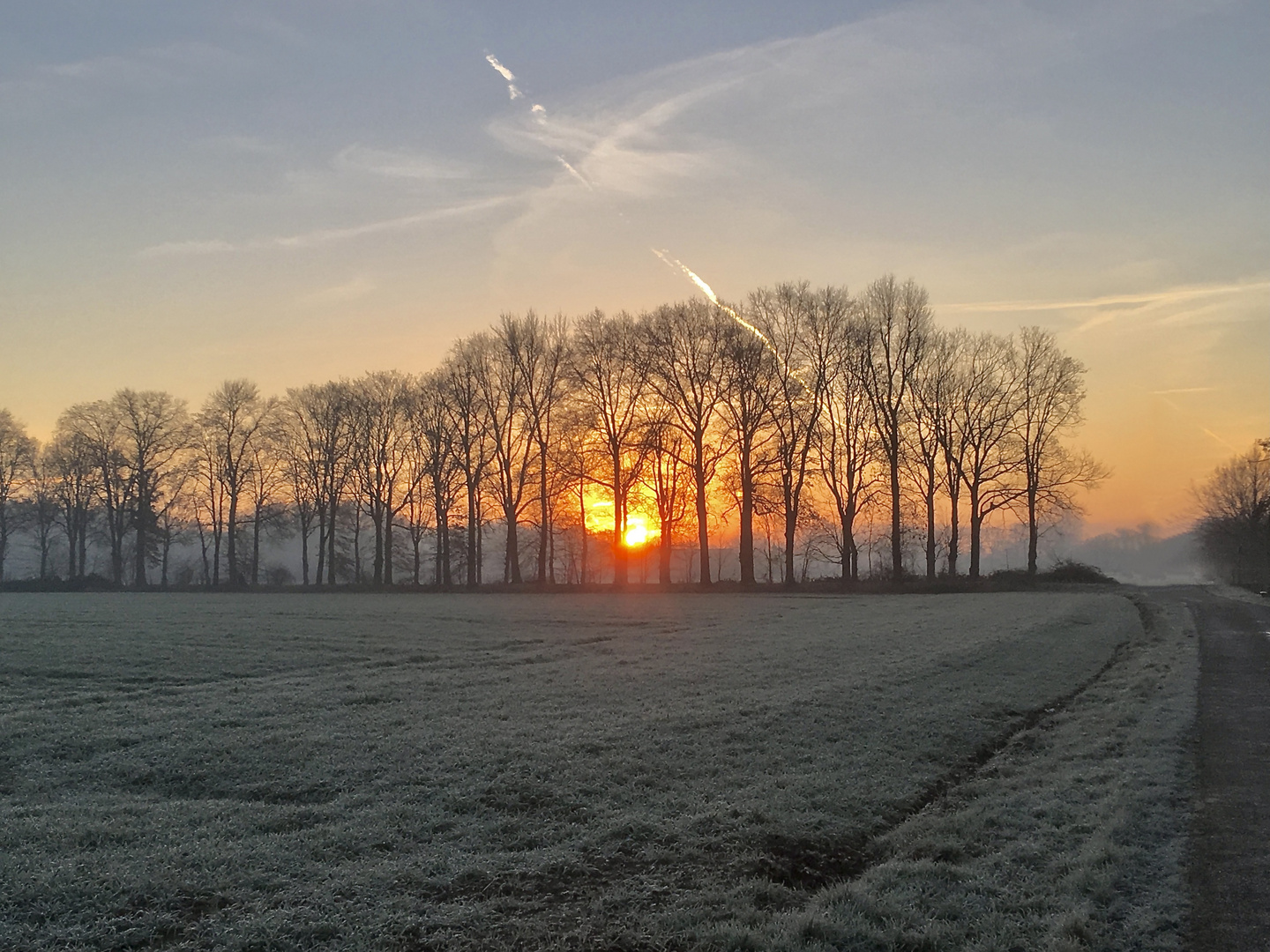 An einem kalten Wintermorgen auf dem Weg zu meinem Revier.......