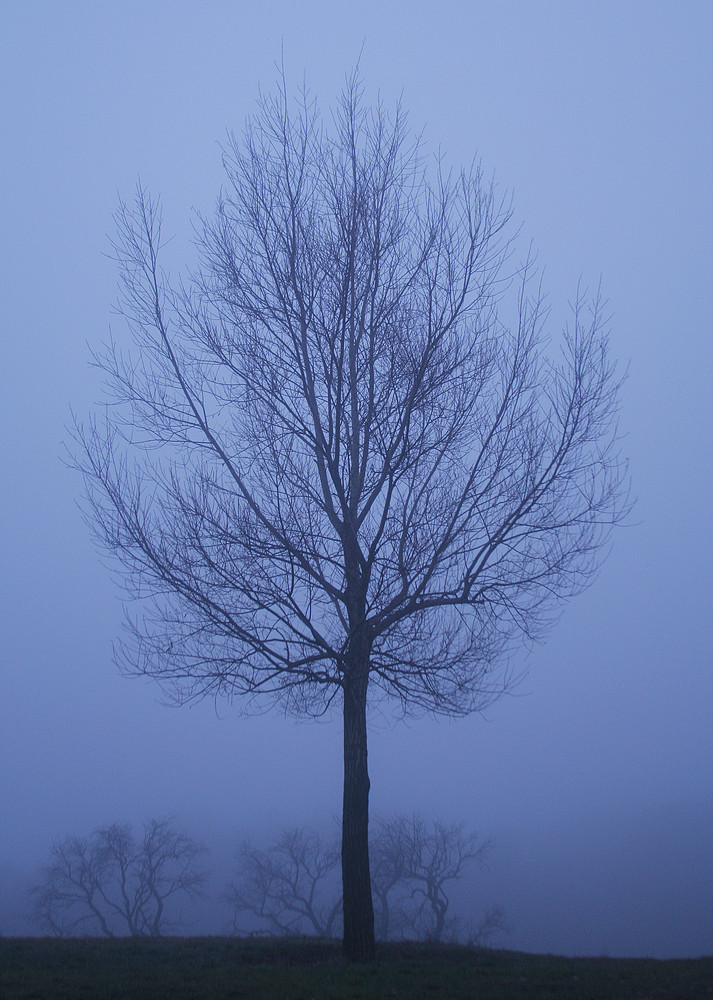 An einem kalten Wintertag im Dezember...