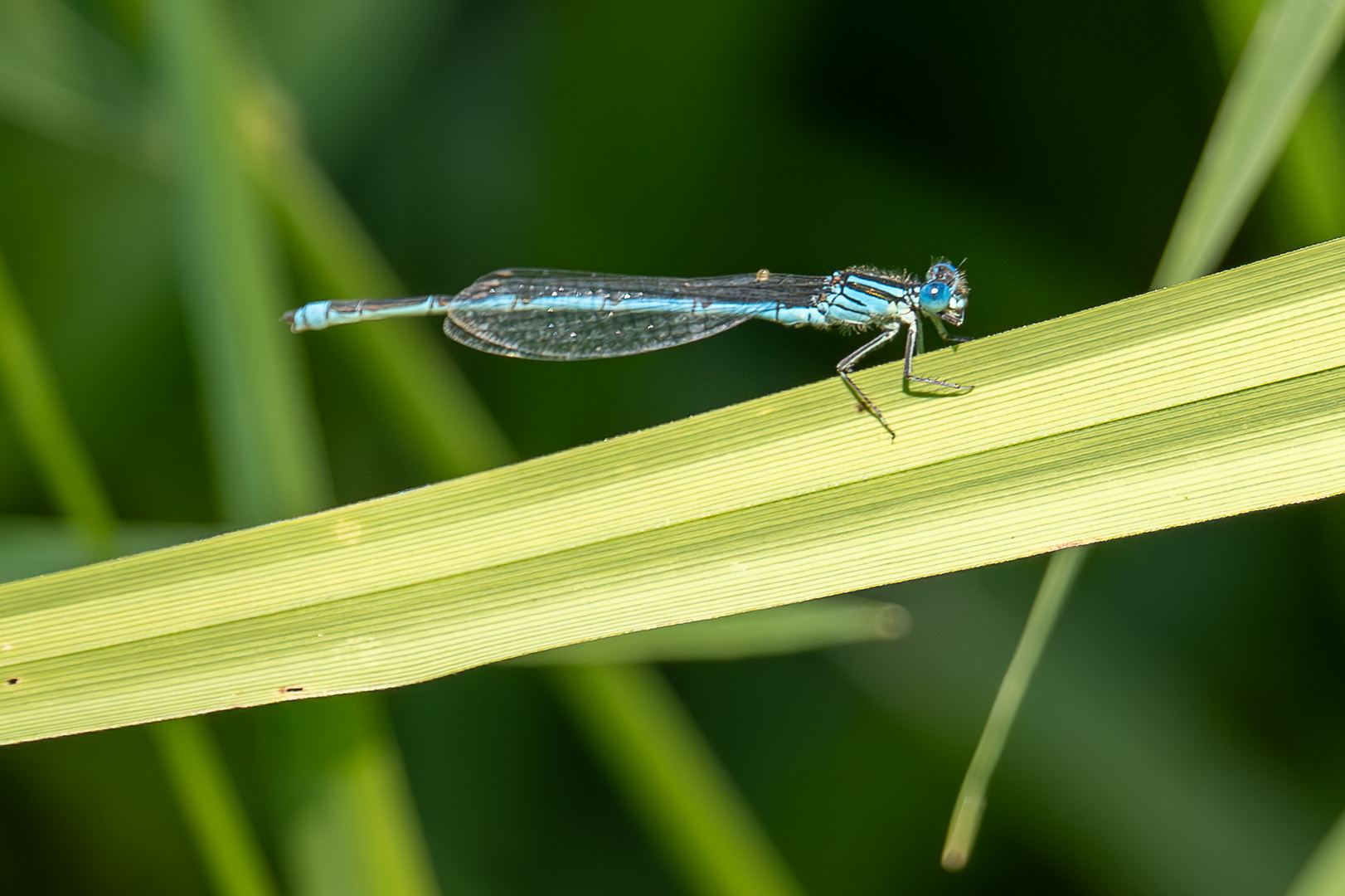 An einem kleinen See im Spreewald!