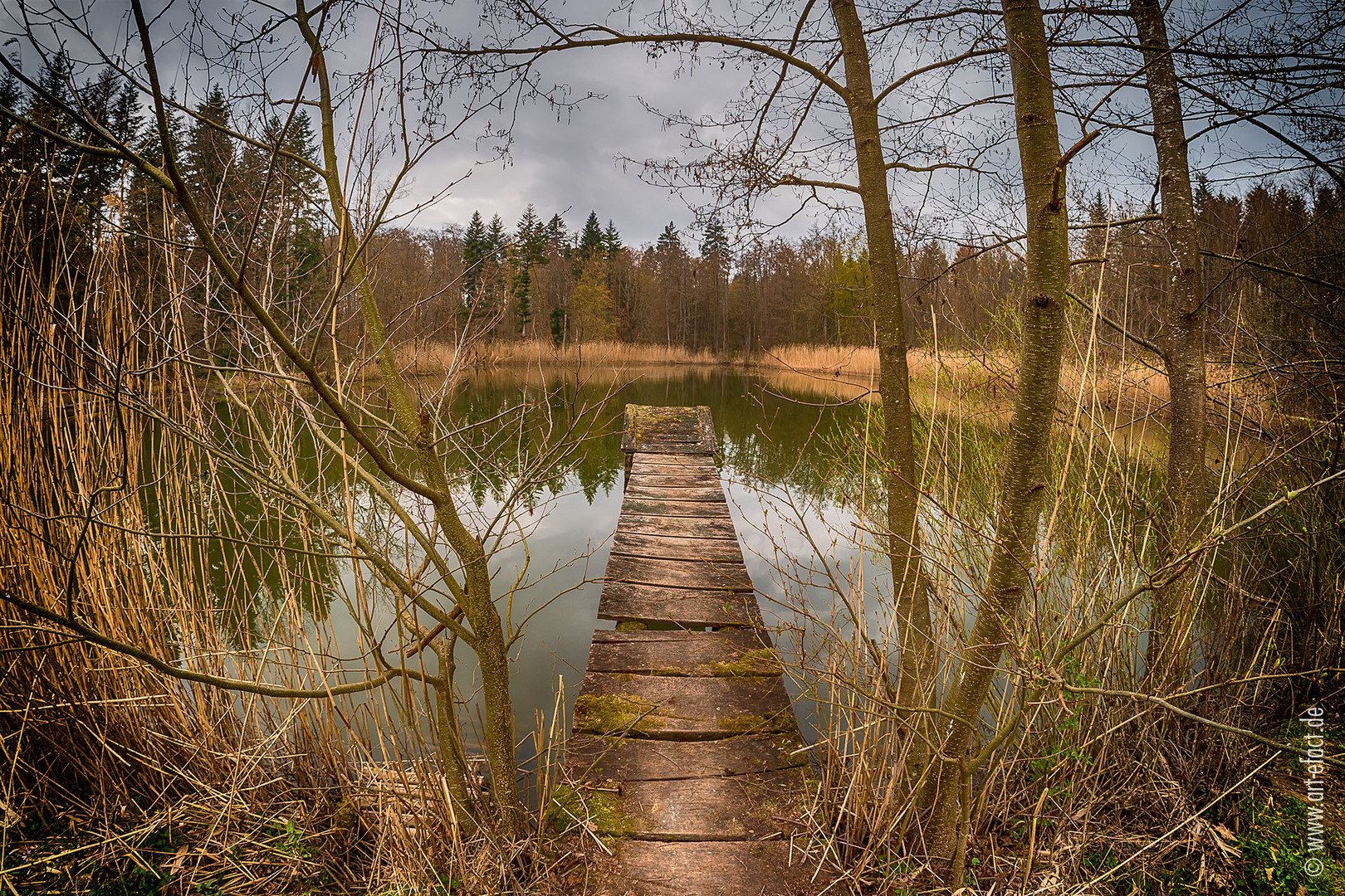 An einem kleinen Tümpel in Hohenlohe