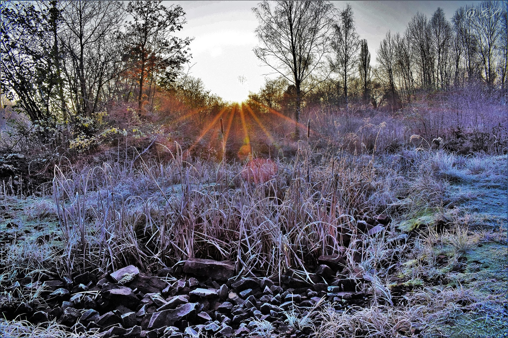 An einem kühlen Morgen 2