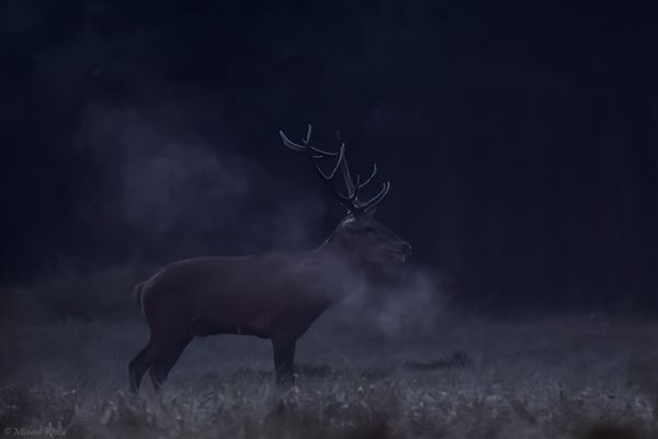 An einem kühlen Septembermorgen