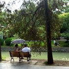 An einem milden Sommertag in einem Park in Hefei