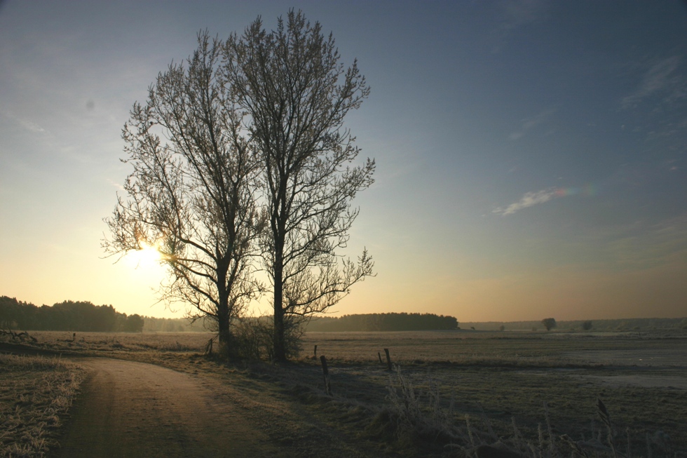 An einem Morgen