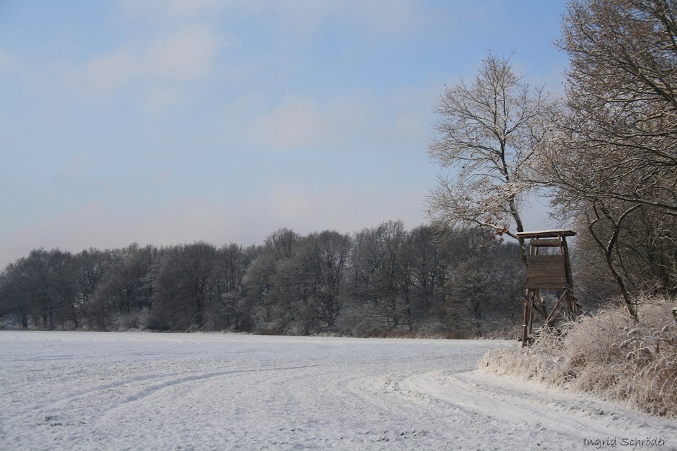 An einem Morgen