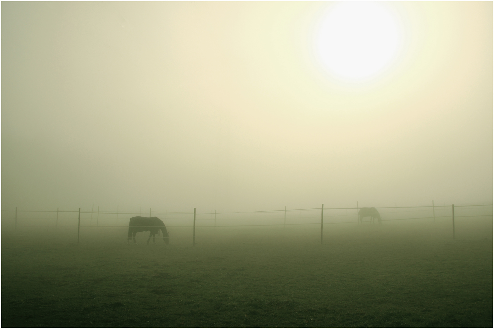 An einem Morgen