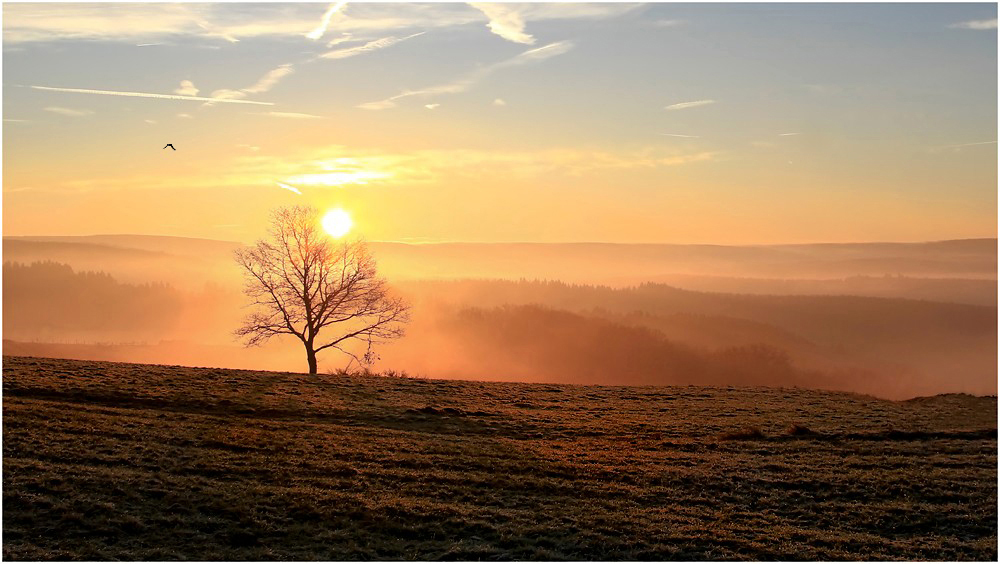 An einem Morgen