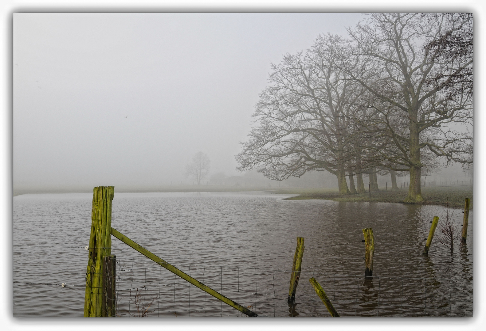 An einem Morgen im Januar