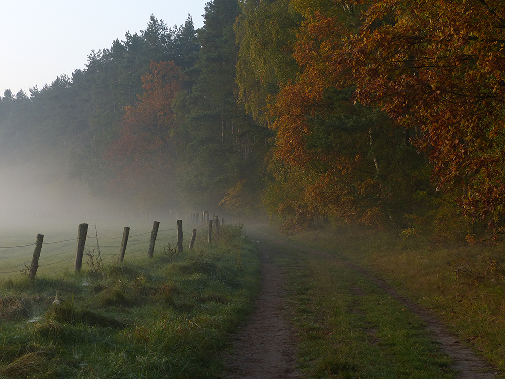 An einem Morgen im Oktober