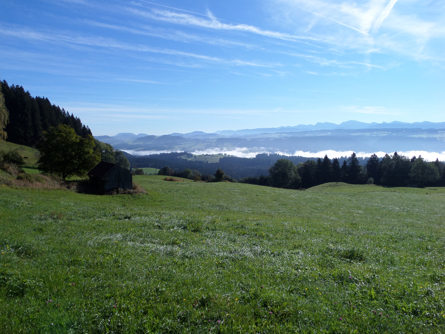 An einem morgen in Bayern