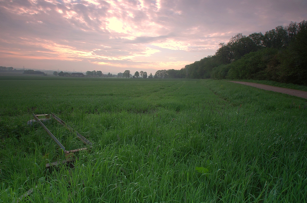 An einem Morgen in Bissendorf