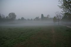 An einem Morgen um 6 Uhr in Gustavsburg