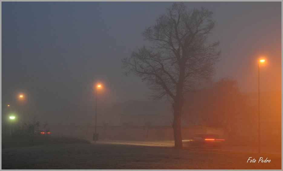 an einem Novembermorgen...