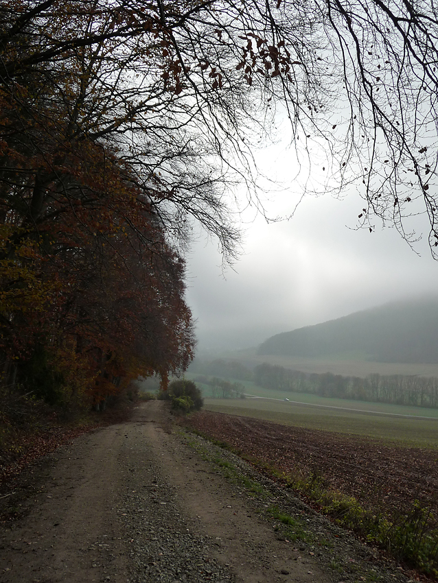 An einem Novembertag 2