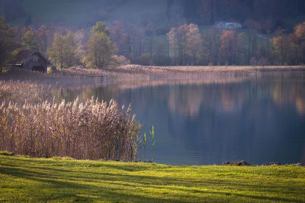 An einem Novembertag