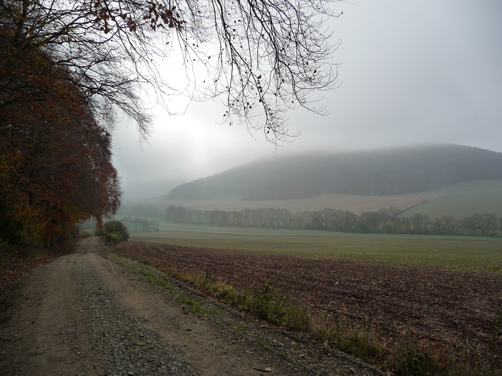 An einem Novembertag