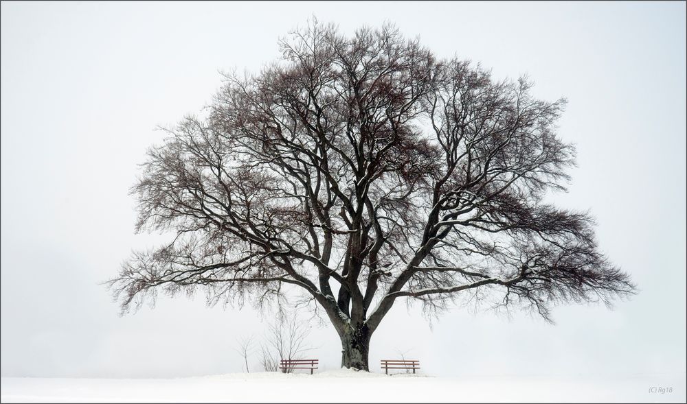 an einem ort der stille