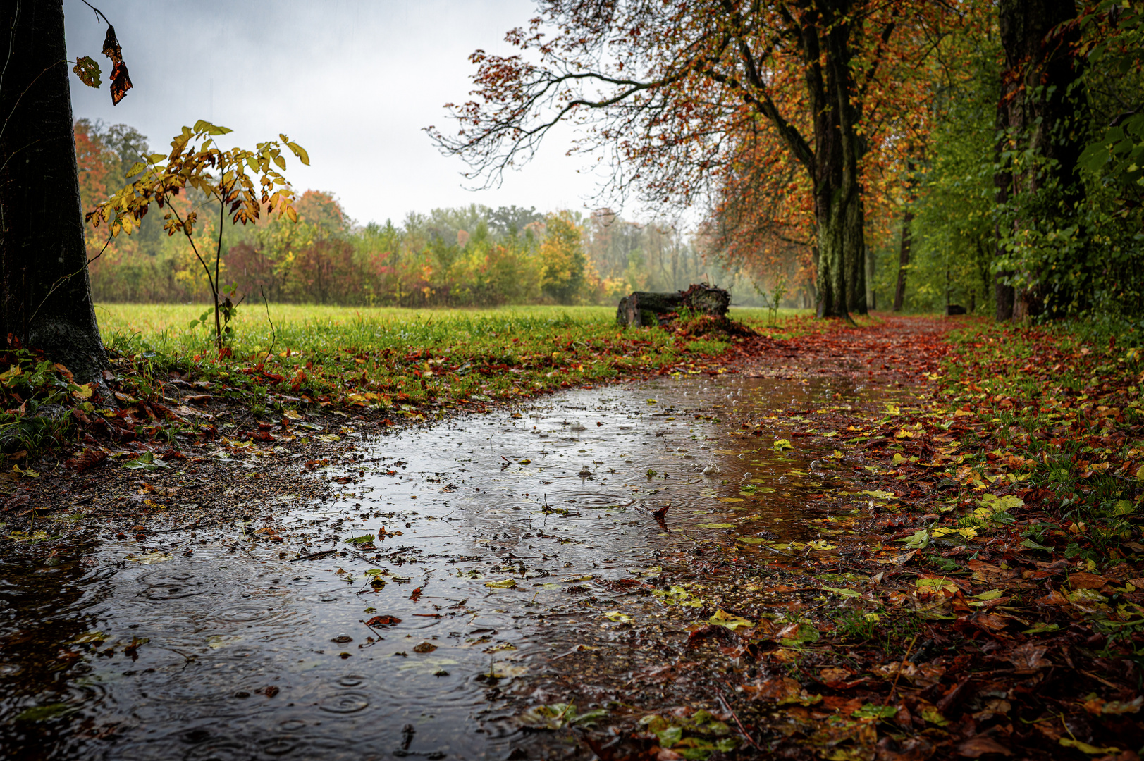 An einem Regentag im Herbst