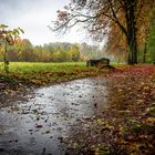 An einem Regentag im Herbst