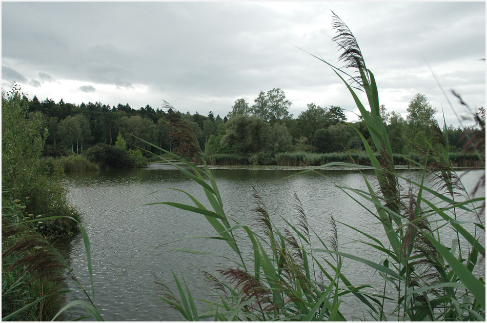 | an einem regnerischen Sommertag |