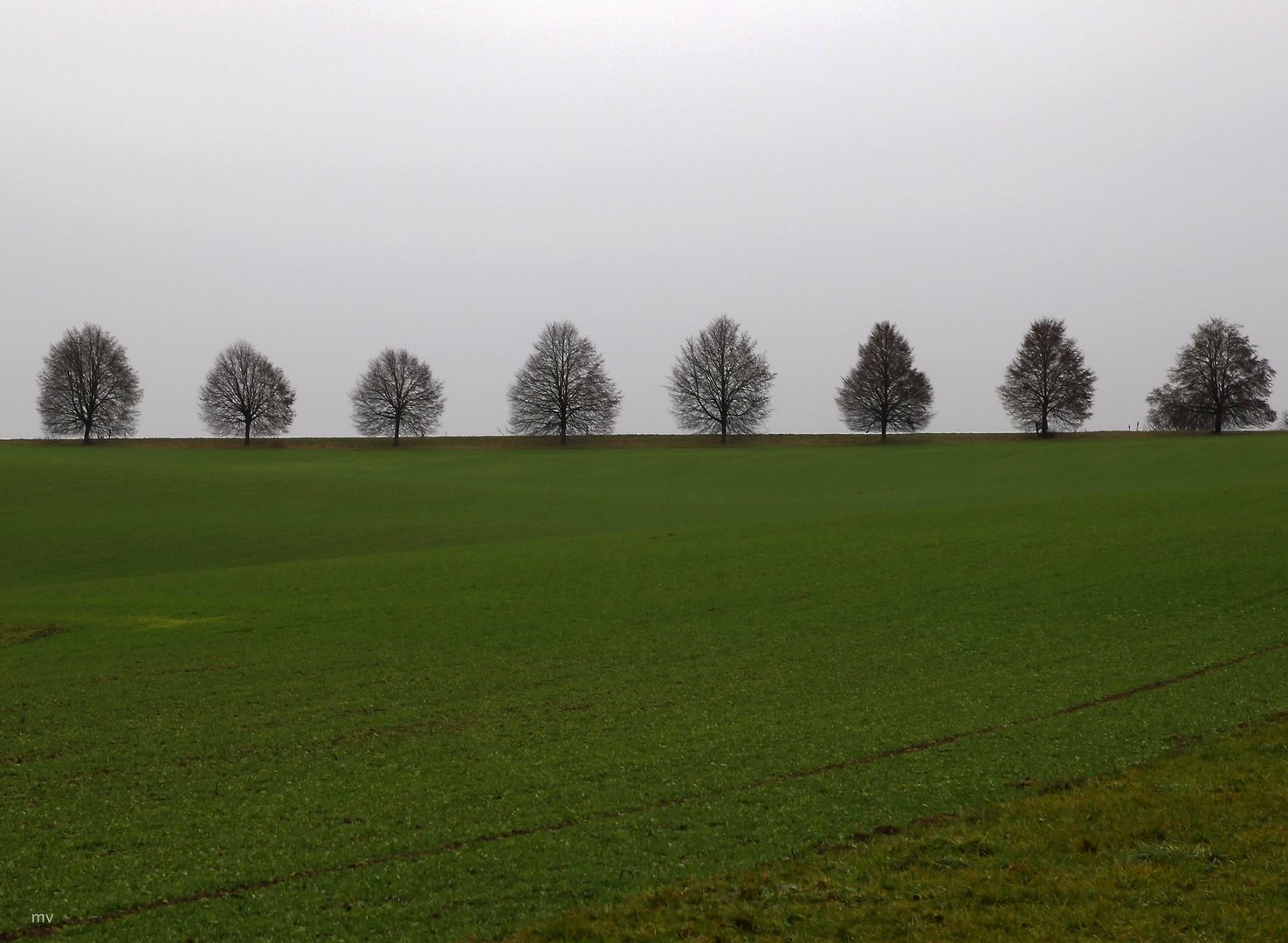 an einem regnerischen Sonntag im Dezember