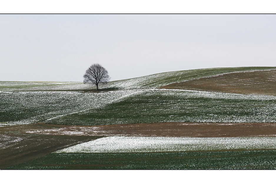 ...an einem Samstag im Dezember...