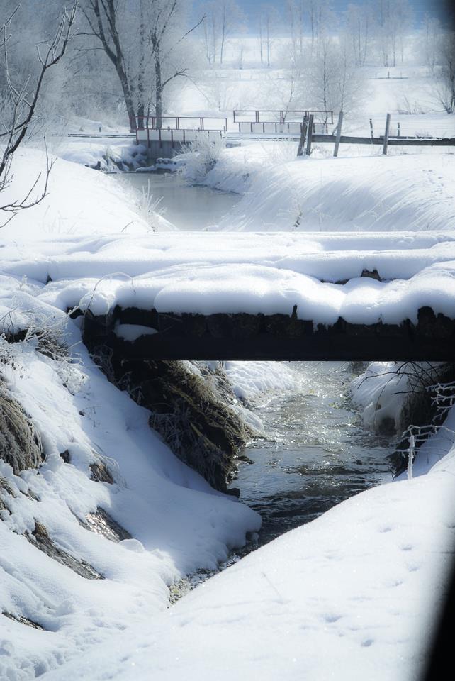 An einem saukalten Wintermorgen